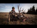 Alberta Archery Mule Deer - Two Giant Bucks Spot and Stalk