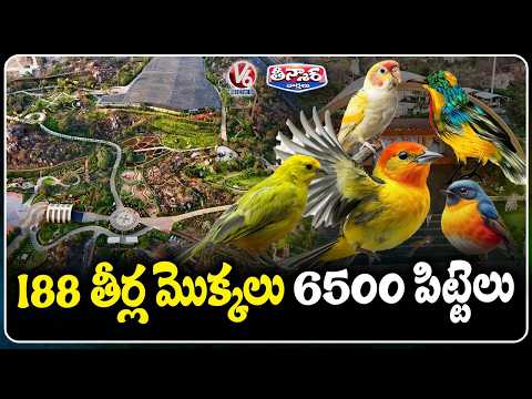 Telangana’s Eco Hill Park Inaugurated At Kothwalguda : 6500 Birds , 188 Plants Thrill Visitors | V6 - V6NEWSTELUGU
