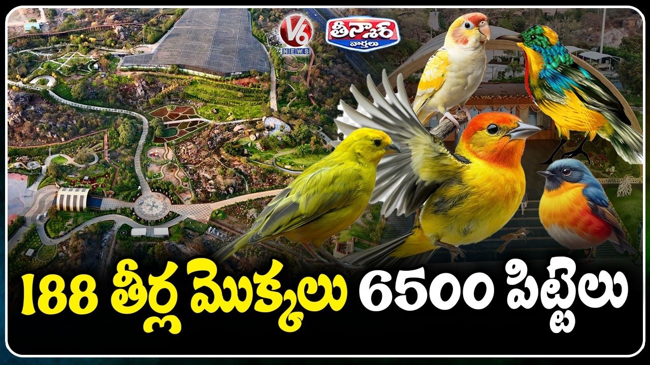 Telangana’s Eco Hill Park Inaugurated At Kothwalguda : 6500 Birds , 188 Plants Thrill Visitors | V6