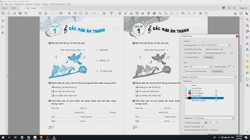 Enfocus Pistop chuyển đổi sách 1 màu thành 2 màu. Enfocus Pistop convert gray to double color book