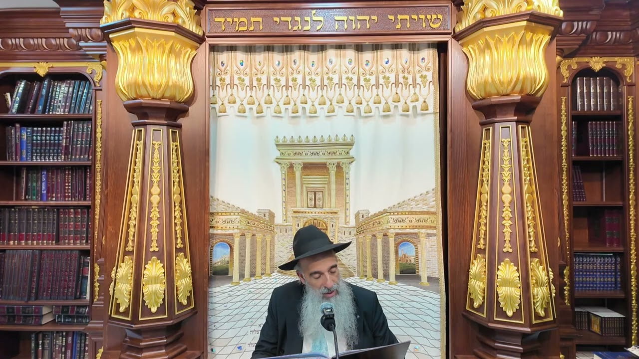 הרב מאיר דוד שמואלי - הלכות סוכה סימן תרמ"ו - תרמ"ט