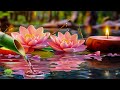 Relaxing Music To Rest The Mind Meditation Music Peaceful Music Stress Relief Zen Spa Sleeping mp3