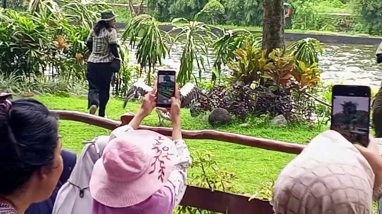 Show burung di Gembira loka zoo 15022016