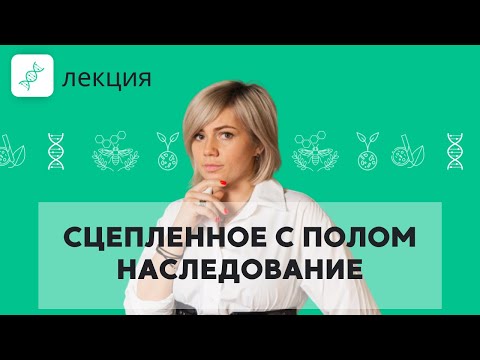 Видео: Влияют ли на самок Y-сцепленные черты?