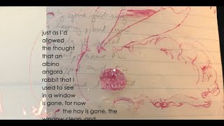 Soft and Unstressed Rabbit (presence and memory) screenshot 4