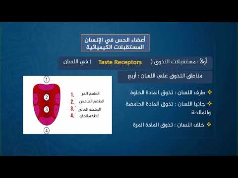 دروس تعليمية | الاحياء | اعضاء الحس في جسم الانسان (المستقبلات الكيميائية) | الصف الثالث ثانوي