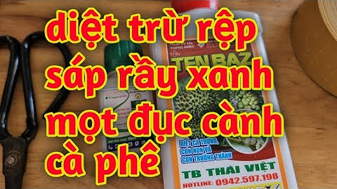 hd116. thuốc diệt trừ rệp sáp rầy xanh trên cây cà phê hiệu quả cao và kéo dài