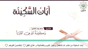 آيات السكينة لدفع القلق والهموم | ayat of tranquility - sakinah