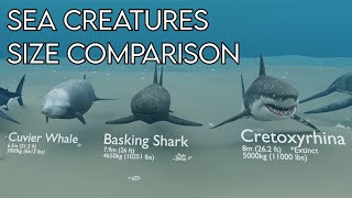 Sea Creatures Size Comparison (18:9)