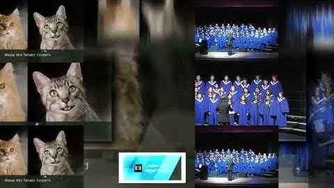 11 Shuric Scans With Are Slides Sony Vegas Pro Version