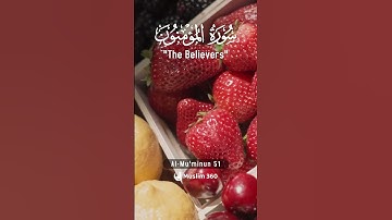 Surah Al Mu'minun 51  Hindi - Urdu Audio translation |  سورة المؤمنون #surahalmuminun