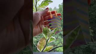 Pause the story ☺️ #easyart #bookmark #shorts #shortvideo #youtubeshorts