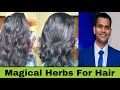 Two Magical Herbs For Hair Growth | Dr. Vivek Joshi