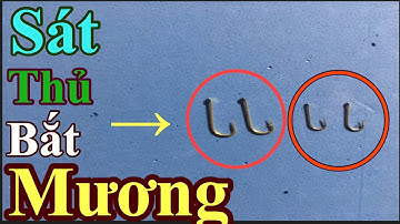 |Câu Cá Mương| Giới Thiệu Lưỡi Câu Cá MươngMương Của | Nguyen Hung