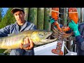 Great Canadian Seafood Tour рџ Ёрџ West Coast Salmon To East Coast Lobster More Great Canadian Seafood Tour рџ Ёрџ West Coast Salmon To East Coast Lobster More