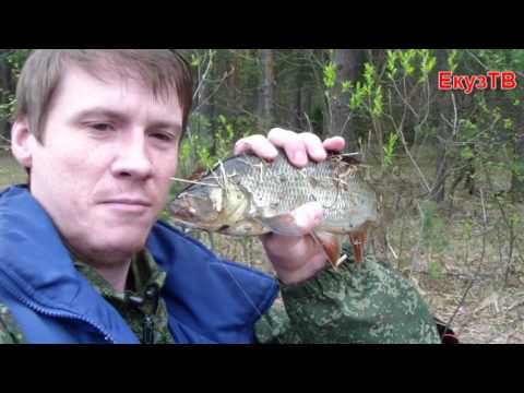 Река пра рязанская область рыбалка видео Река пра рязанская область рыбалка видео