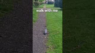 Morning walk, Des Pardes Official  vlog 12 may 2024, good morning Have a beautiful day Alhamdulillah by Des pardes Official  14 views 3 weeks ago 1 minute, 11 seconds