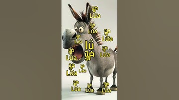 Từ vựng tiếng trung #汉字之美 #hoctienghoa #tiengtrung #汉字之美 #汉语 #learn #learnchinese