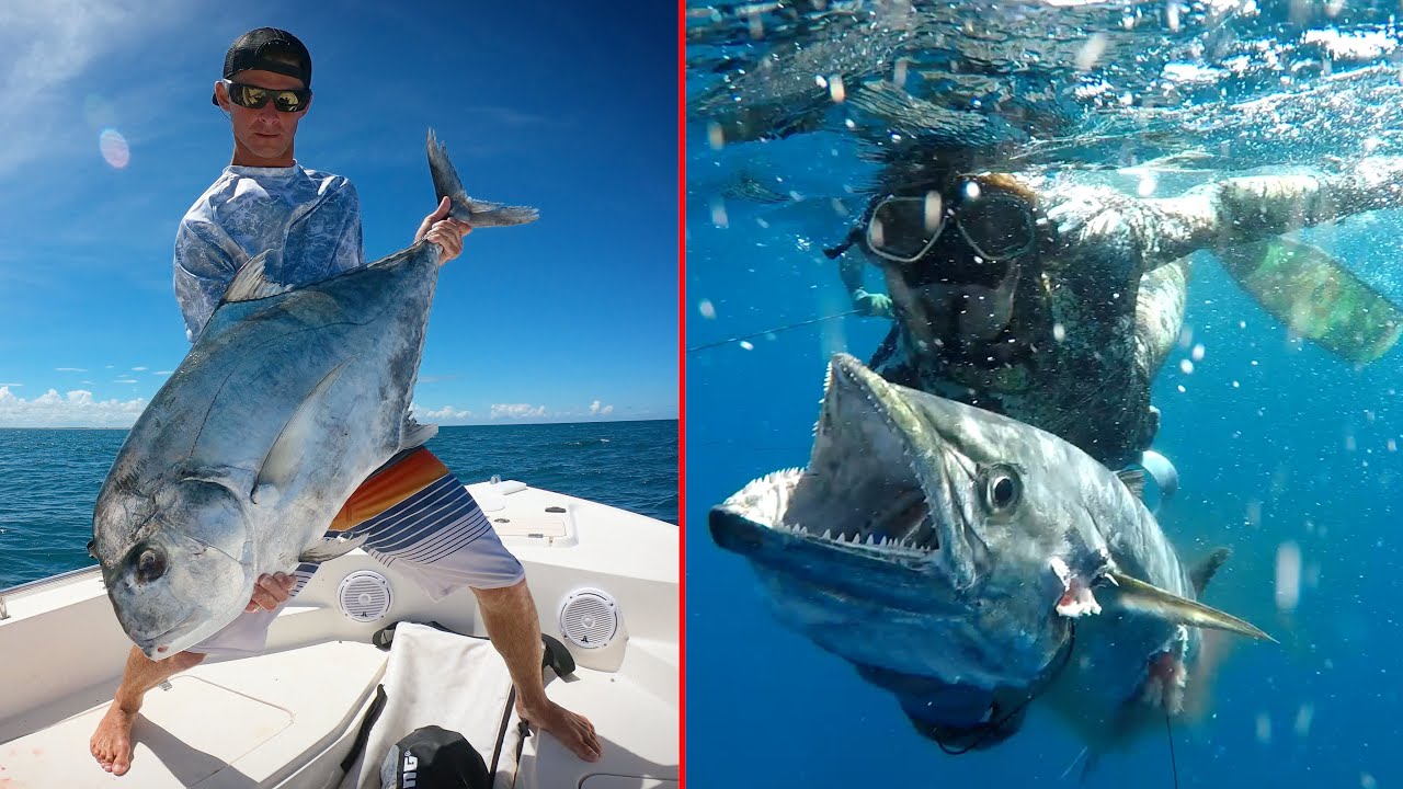 Open Ocean Hunting BIG Fish!