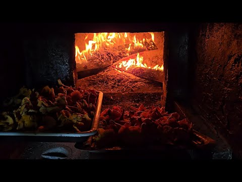 Gifts of the wet forest, mushrooms from the oven, and a new workshop