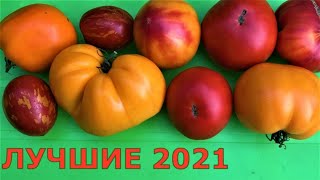 Лучшие сорта томатов этого года