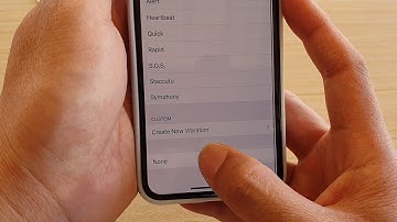 iPhone 11 Pro: How to Turn Off New Text Message Alert Vibration / Change Vibration Pattern