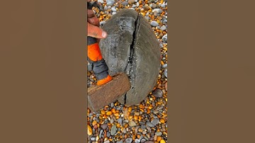 HUGE Rock Cracked for Fossils!
