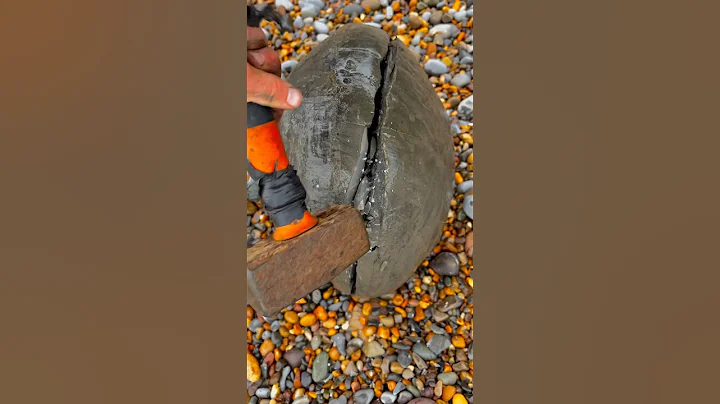 HUGE Rock Cracked for Fossils!