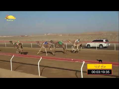 الشوط 10 أبعاد ل خميس سعيد أحمد الكعبي شارة الديوان الإثنين 2018 1 8 سويحان اللقايا