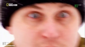 Bản Năng Sát Thủ Của Động Vật Săn Mồi   Thiên nhiên hoang dã full HD Thuyết Minh