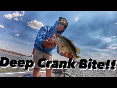 THIS is How to Catch Bass in the Summer!!! West Texas Bass Fishing