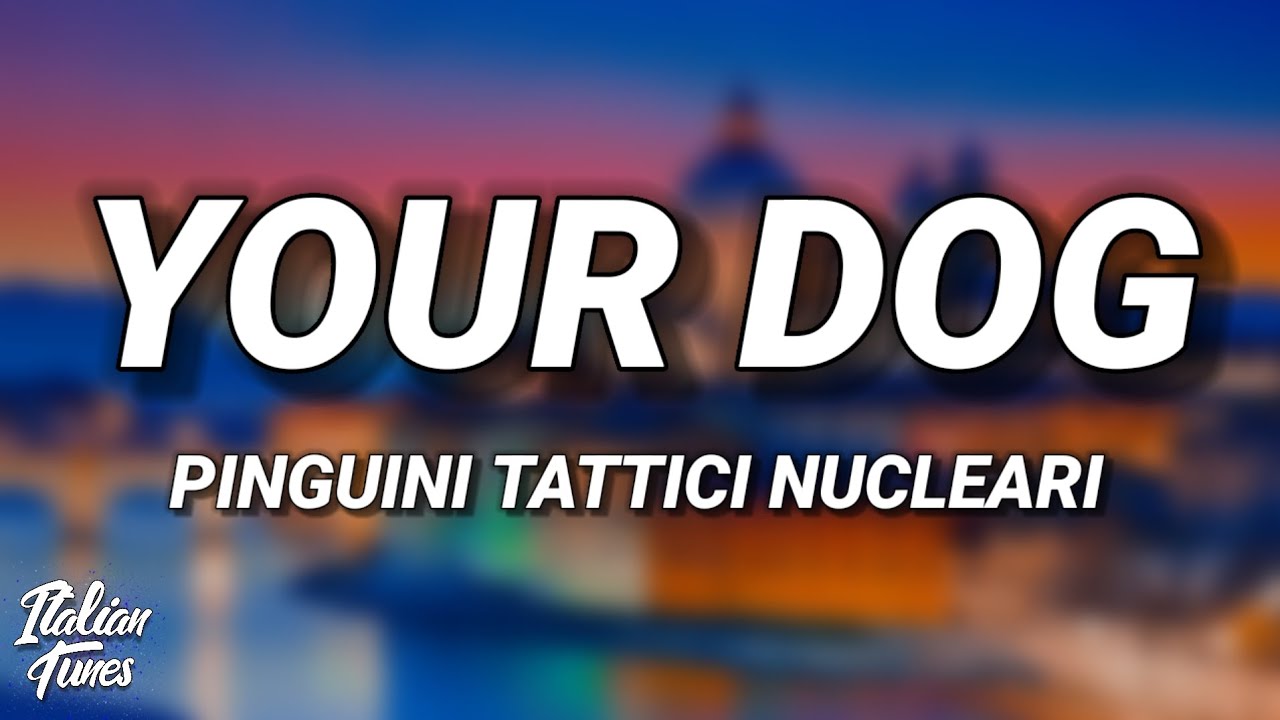 Pinguini Tattici Nucleari - Your Dog (Testo/Lyrics) Pinguini Tattici Nucleari - Your Dog (Testo/Lyrics)