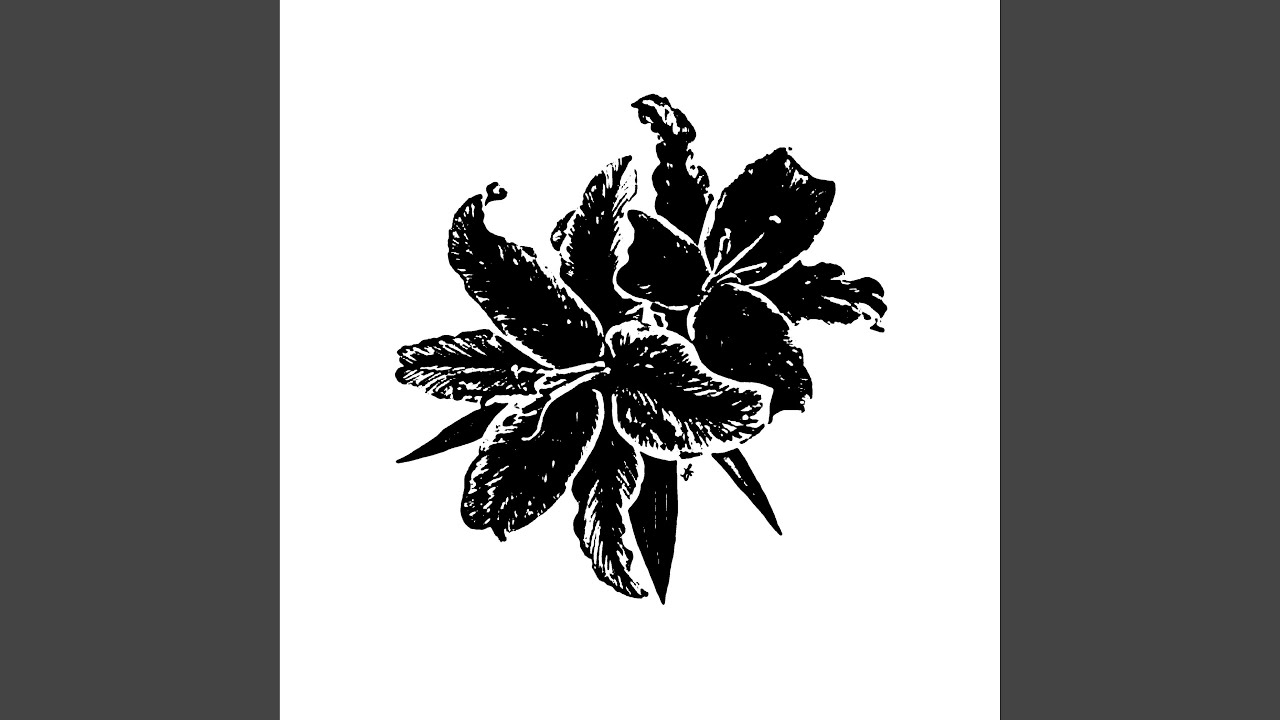 Watch solo. on YouTube Watch solo. on YouTube