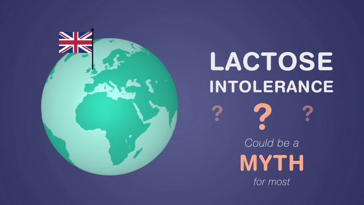 video phone beyonce mp3 Lactose Intolerance: A Myth for Many?