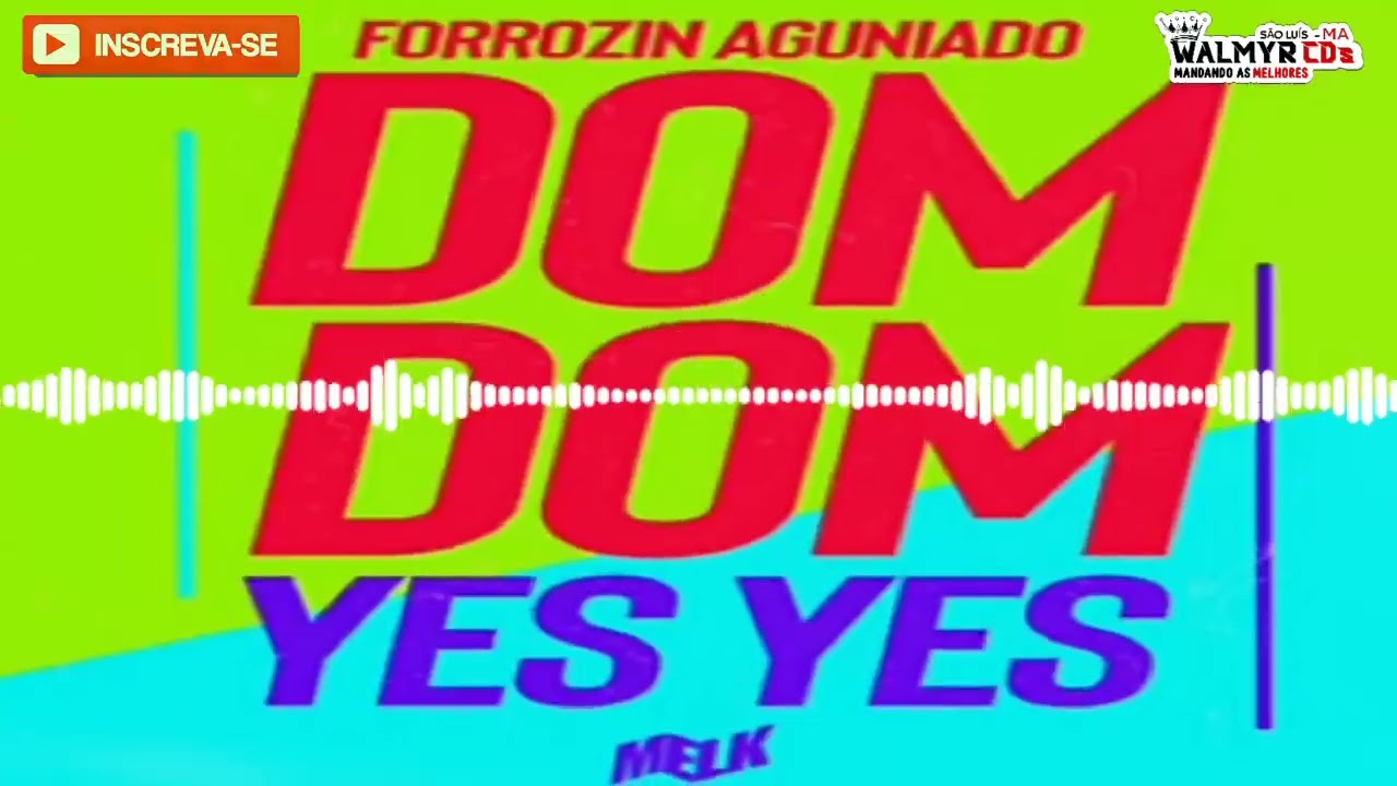 FORROZIN AGUNIADO DOM DOM YES YES DJ MELK - Forró - Sua Música