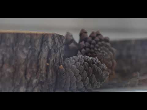 مركز التعريف بتراث الأطلس المتوسط أزرو