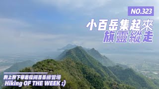 高雄旗山｜旗靈縱走(北旗尾南山-北旗尾山-旗尾山-福美山-金字面山-人頭山-靈山福德祠)