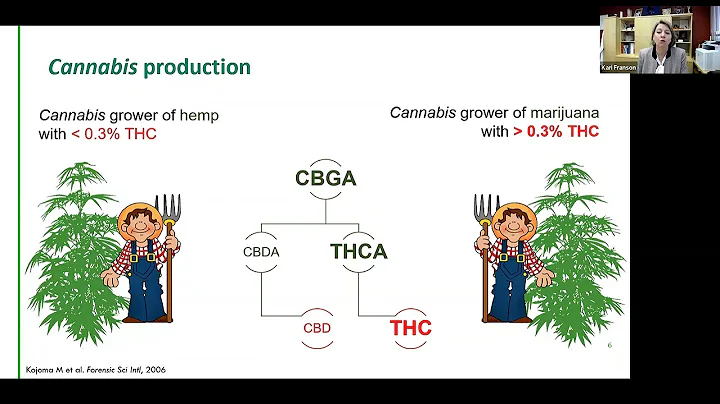 Medical Cannabis in Clinical Pharmacology - Featur...