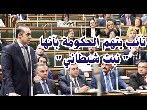 نائب يتهم الحكومة بأنها نبت شيطاني والوزير محمود فوزي يرد عيب قوي أن تهان مؤسسة الدولة