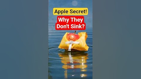 Why Do Apples Float? It
