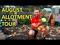 AUGUST Allotment Tour - Its looking AMAZING!