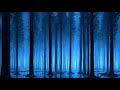 【ヒーリングヨガ音楽】ヨガと瞑想を深める心地よいヒーリングアンビエントBGM|体がやさしくほぐれ深いリラックスと癒しのひとときへのゆっくりとした浸り