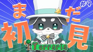 【Terraria】必見‼ソロハードコアマスターでボスに挑戦SP【mark Ⅱ/CHUMPLANET】