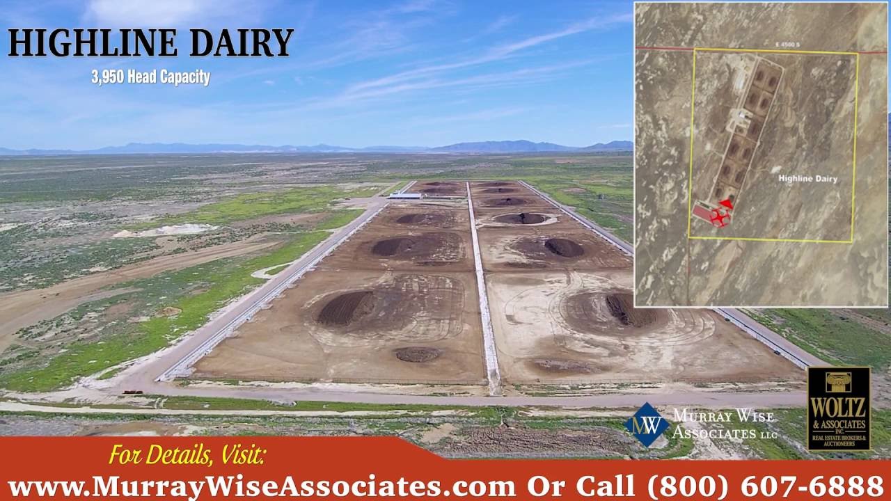 Utah Dairies MULTISITE LISTING YouTube