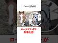 ゴルシの許婚 ロータスランドが無事出産!