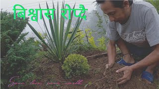 Our Villager Celebrate World Environment Day||5th June 2022||RJ Sagar