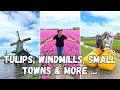 Netherlands beyond amsterdam haarlem windmills tulips  more  travel with kids