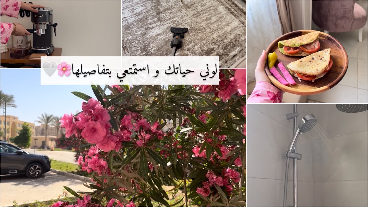 يوم جديد، نفسية جدية ⛅️🌸ترتيبات يومية لابد منها ✨✅ وجباتي الصحية اللذيذة😌👩‍🍳 فطار مصري بطريقة صحيه🥙