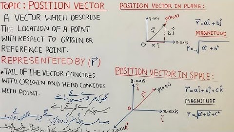 Position Vector | Class 11 Physics | Chapter 2 | Best examples of position vector | Urdu | Hindi