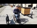 Trottinette patinette lectrique blumil go en promenade avec le chien